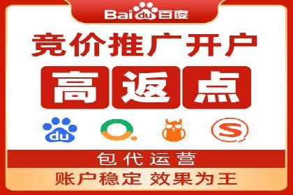 案例解读：网络推广与竞价策略